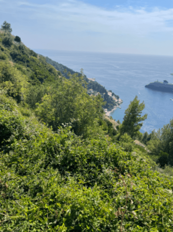 Weidefläche in 31515 Wunstorf